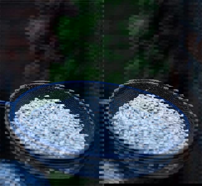 St Helens Bird Care Station With Feeder and Bath