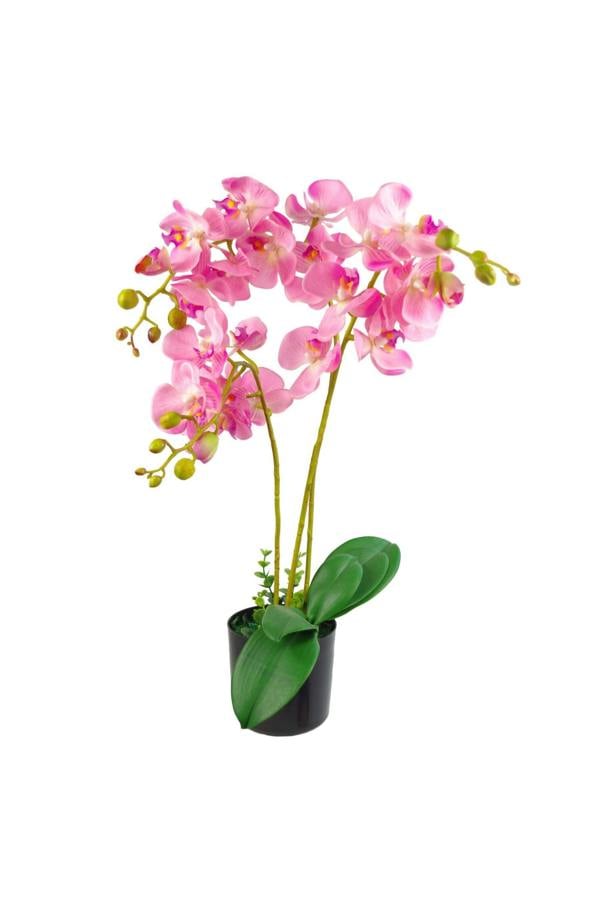 Dyzi Artificial Phalaenopsis Orchid In Pot 60cm