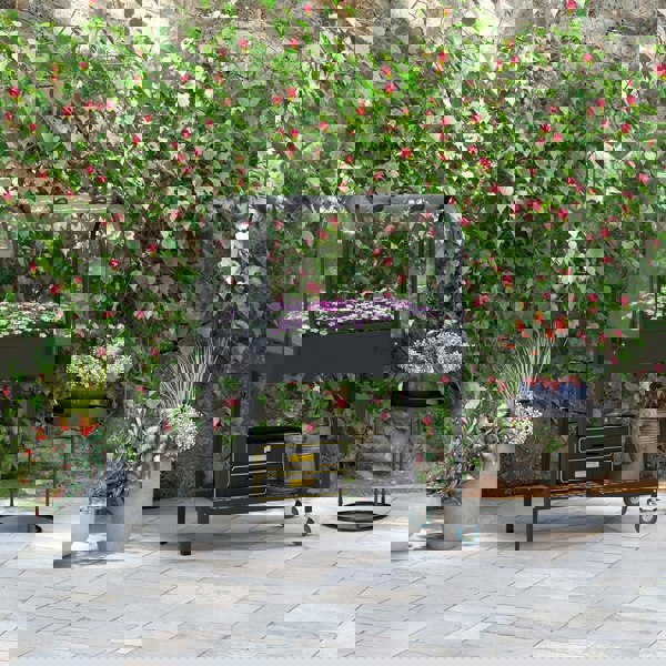 Raised Planter
