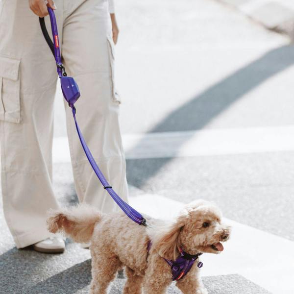 EzyDog Essential Zero Shock Dog Lead in Purple