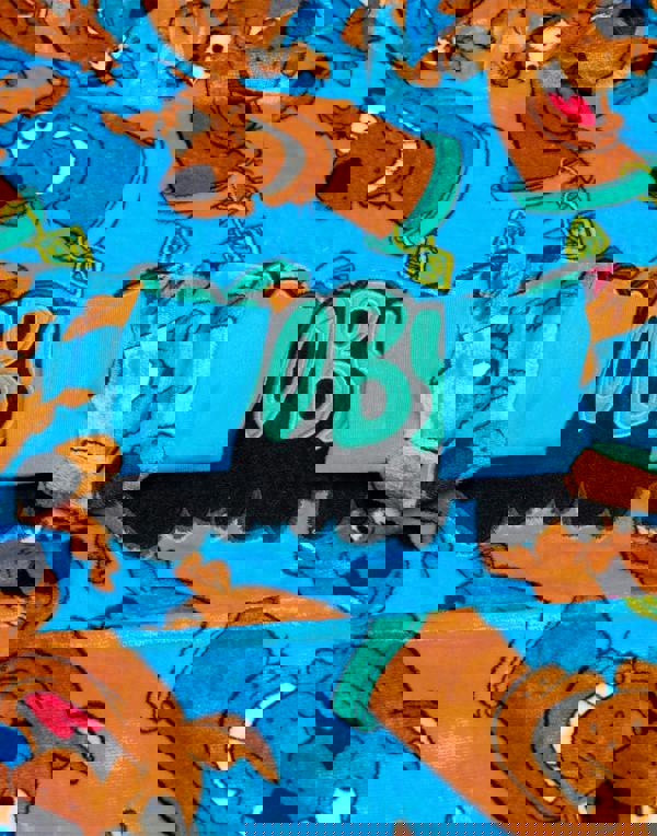 Scooby Doo Boys Blue Character AOP Blanket Hoodie (One Size)