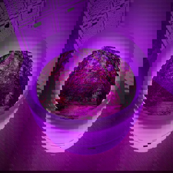 tickit Forest Discovery Play Mat