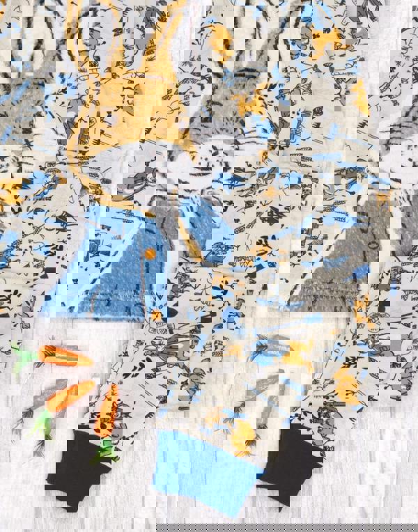 Peter Rabbit Boys Blue Peter Rabbit All-Over Print Long Sleeve Long Leg Pyjama Set