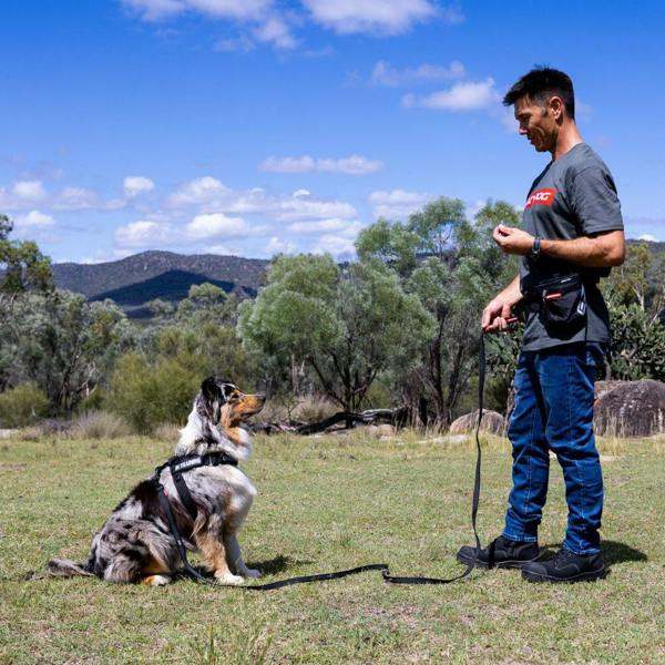 EzyDog Track 'N' Train Long Dog Lead