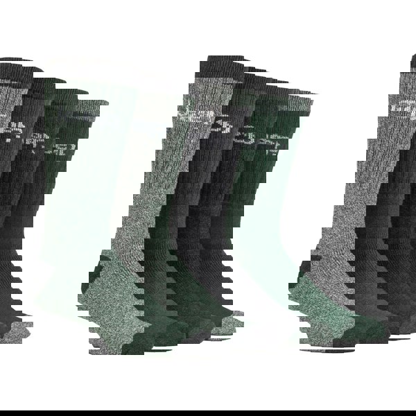 t4option1_5