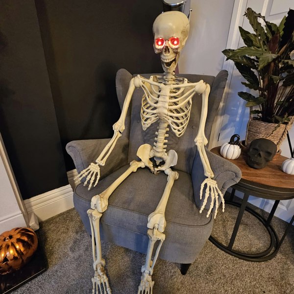 Samuel Alexander 5ft (150cm) Posable Full Body Halloween LED Skeleton Decoration with Movable Joints and LED Eyes