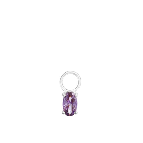 Gold Trip February Birthstone Earring Charm