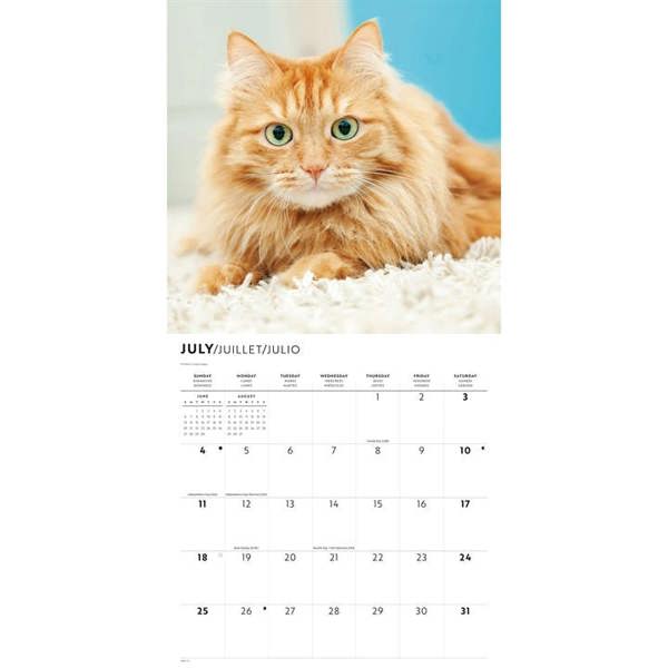 Ginger Cats Calendar 2027, Wall Calendars, Month To View, Cats, Gift