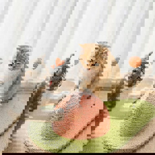 Don's Avocado, Cat Toy, Cat Scratcher-Weilai concept-Weilai Concept