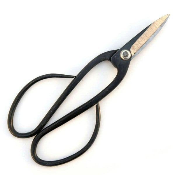 Chinese Curved Handle Bonsai Shears 205mm - Yorkshire Bonsai