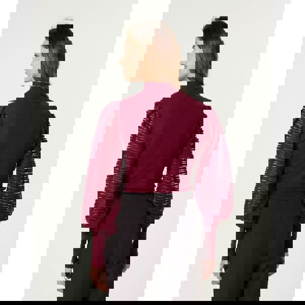 Blue Vanilla Semi-Sheer Mesh Panel Long Sleeve Jumper - Wine