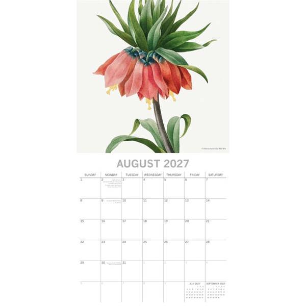Redoute Calendar 2027, Wall Calendars, Month To View, Art, Gift