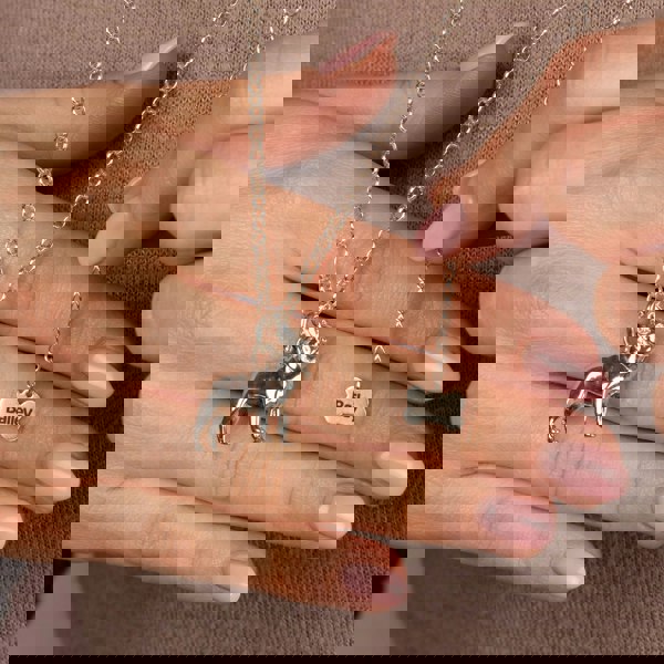 Extra Large French Bulldog Silver Necklace - Personalised - MYLEE London