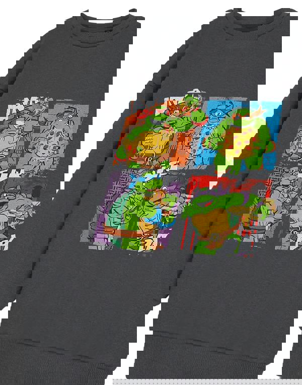 Teenage Mutant Ninja Turtles Boys Grey Have A Slice Day Sweatshirt