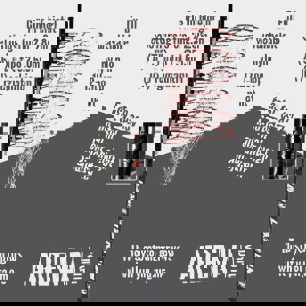 NET1 Arena Basketball Hoop