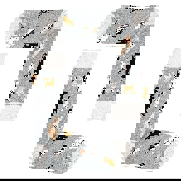 t4option1_2
