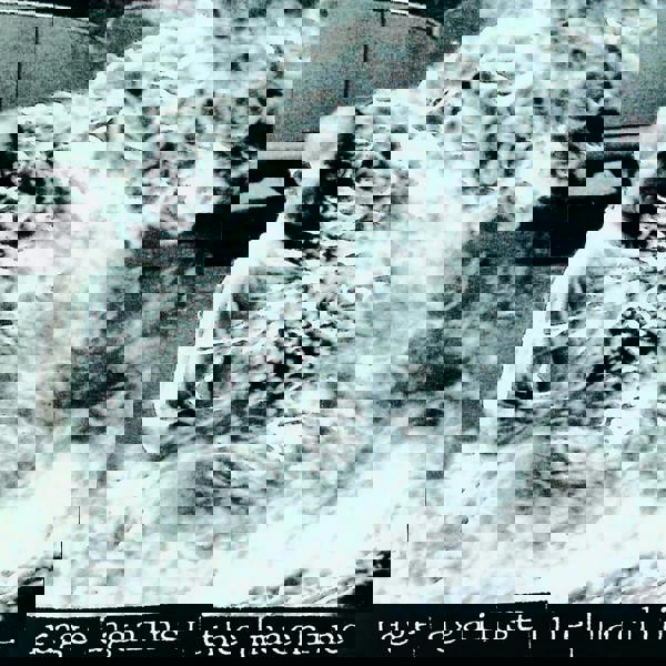 Rage Against the Machine 'Rage Against the Machine' LP Black Vinyl