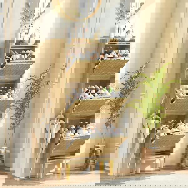 Flip-down Shoe Cabinet