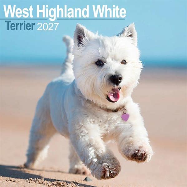 West Highland White Terrier Calendar 2027, Wall Calendars, Month To View, Dogs, Gift