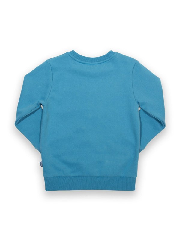 Kite Boys Organic Cosmic Sweatshirt