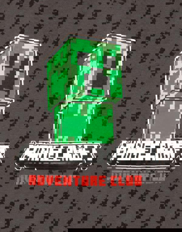 Minecraft Boys Grey Creeper Short Sleeved T-Shirt