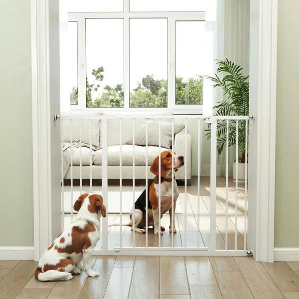 White pet safety gate with vertical bars separating pets from a room