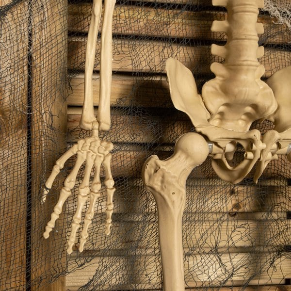 Samuel Alexander 5ft (150cm) Posable Full Body Halloween LED Skeleton Decoration with Movable Joints and LED Eyes