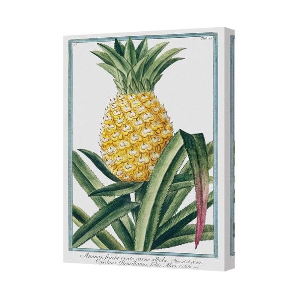 Benjamin Tate Design Pineapple Botanical Canvas Wall Art Print With Deep Wood Frame