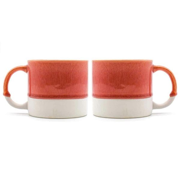 Scandi Home Terra Fusion Mug Coral