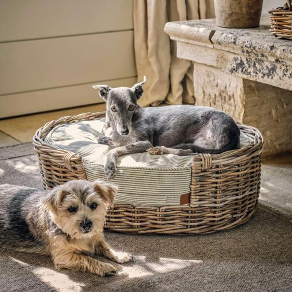 Two small dogs, a Greyhound and a Terrier, relaxing in a hand-woven rattan dog bed with a sage green striped cushion.