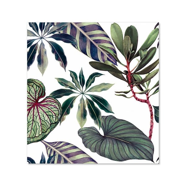 Warren Reed - Designer Watercolor Tropical Leaf Kitchen Splashback