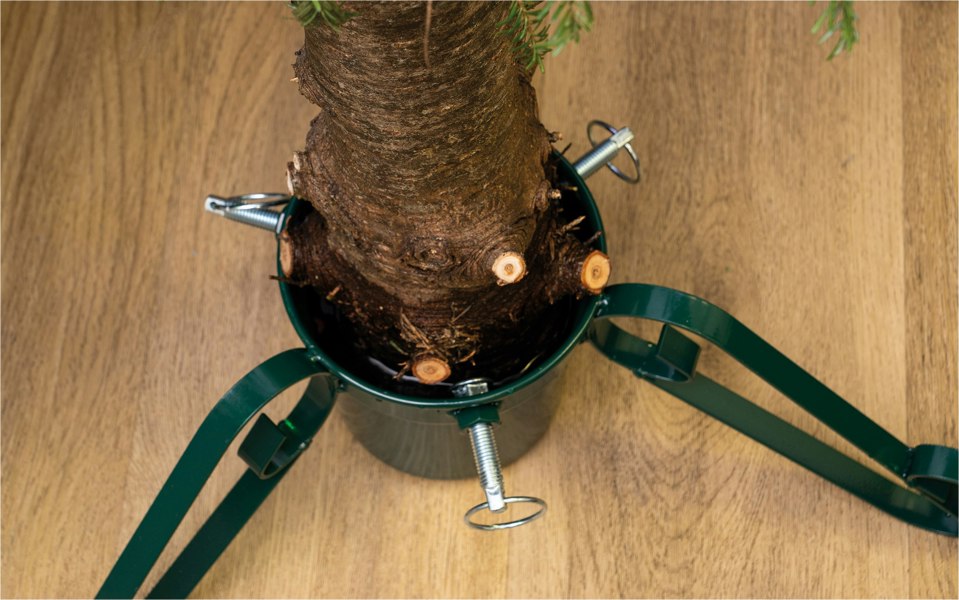 St Helens Christmas Tree Stand, Large (2.8M Trees)