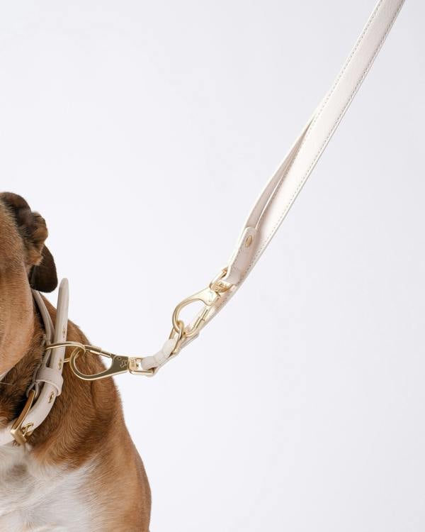 Barc London Light Ivory Double Ended Lead