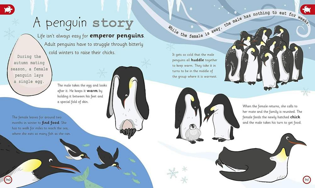 My Encyclopedia Of Very Important Animals - For Little Animal Lovers Who Want To Know Everything