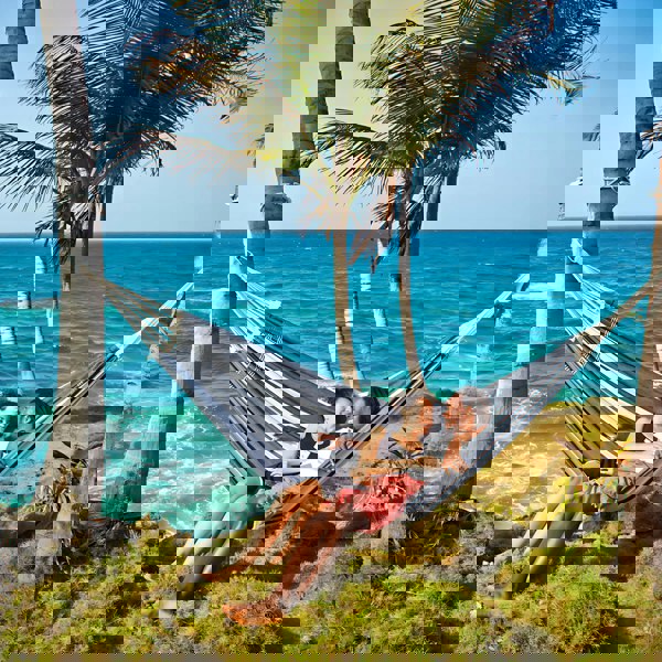 Amazonas Paradiso Silver Hammock