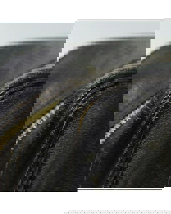 176054954.jpg