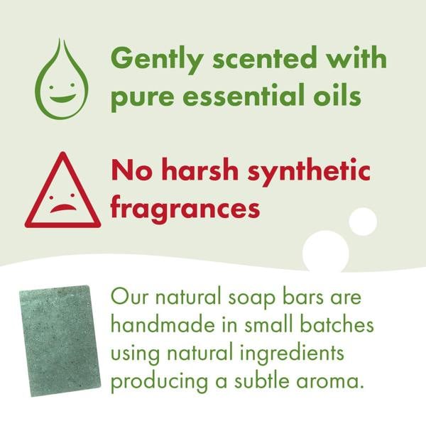 Friendly Soap 3 Pack - Natural Soap - Rosemary