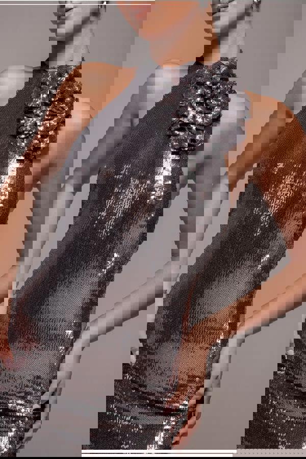 Liquid Sequin Halterneck Maxi With Corsage - Silver DR4104