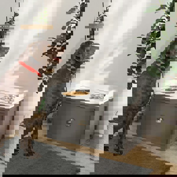 D08-041V80GY