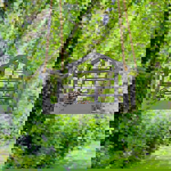 smartbies Swing Seat Bird Feeder for Small Birds – Washable & Hygienic