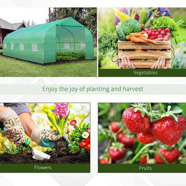 Green walk-in greenhouse with arched PE cover and side window panels