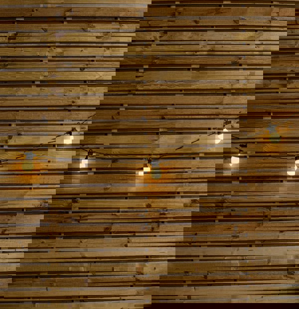 Samuel Alexander Set of 20 Indoor Outdoor Connectable Party Festoon Lights with Warm White LEDs