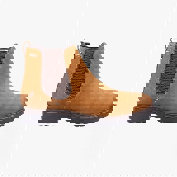 1677847469-28139300.jpg