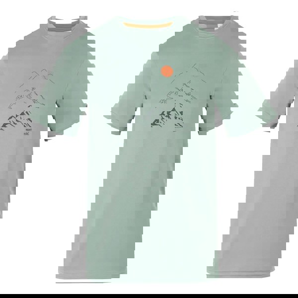 Regatta Mens Fingal IX Mountain T-Shirt - Glacier