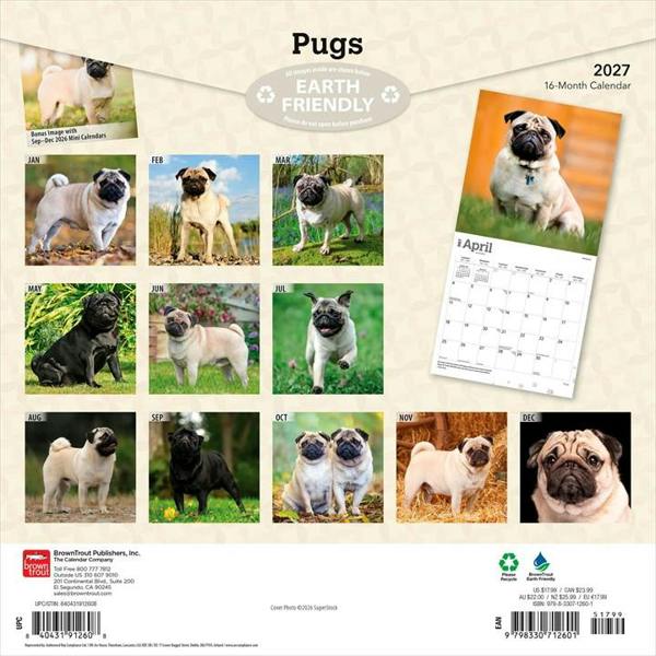 Pugs Calendar 2027, Wall Calendars, Month To View, Dogs, Gift