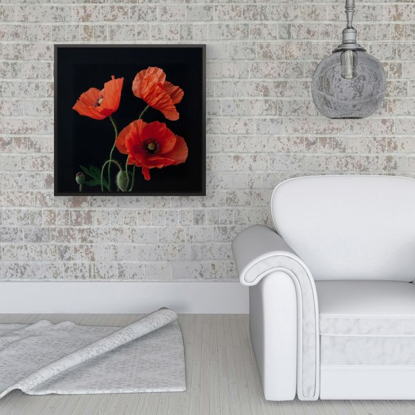 Warren Reed Poppies Framed Canvas