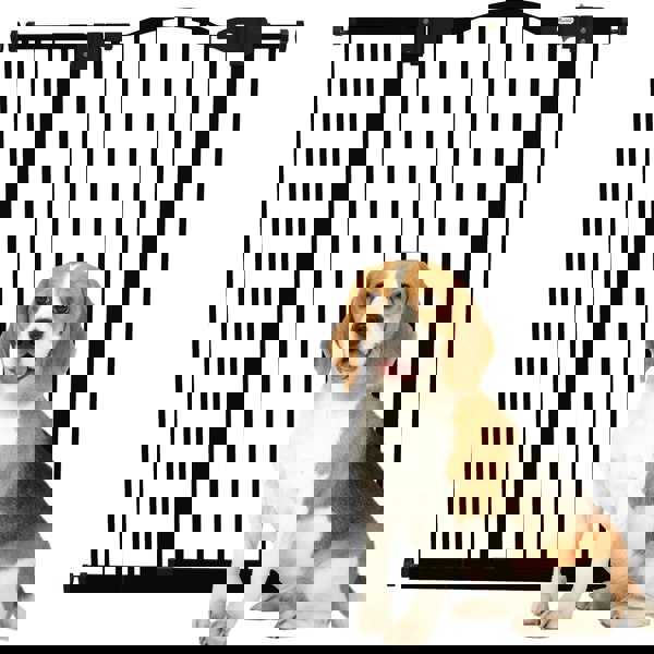 D06-094V02BK