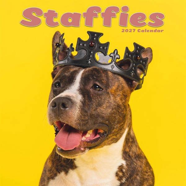 Staffies Calendar 2027, Wall Calendars, Month To View, Dogs, Gift