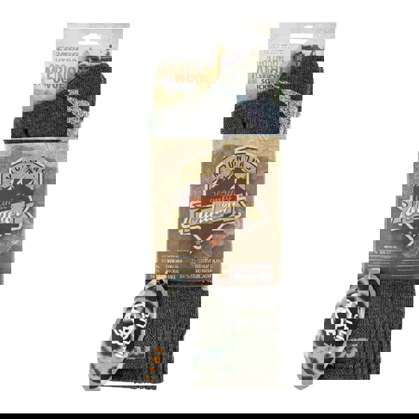 t4option1_1