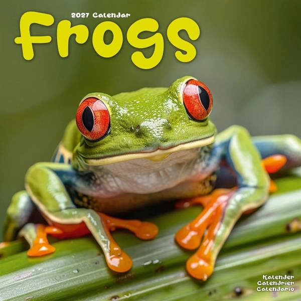 Frogs Calendar 2027, Wall Calendars, Month To View, Animals, Gift